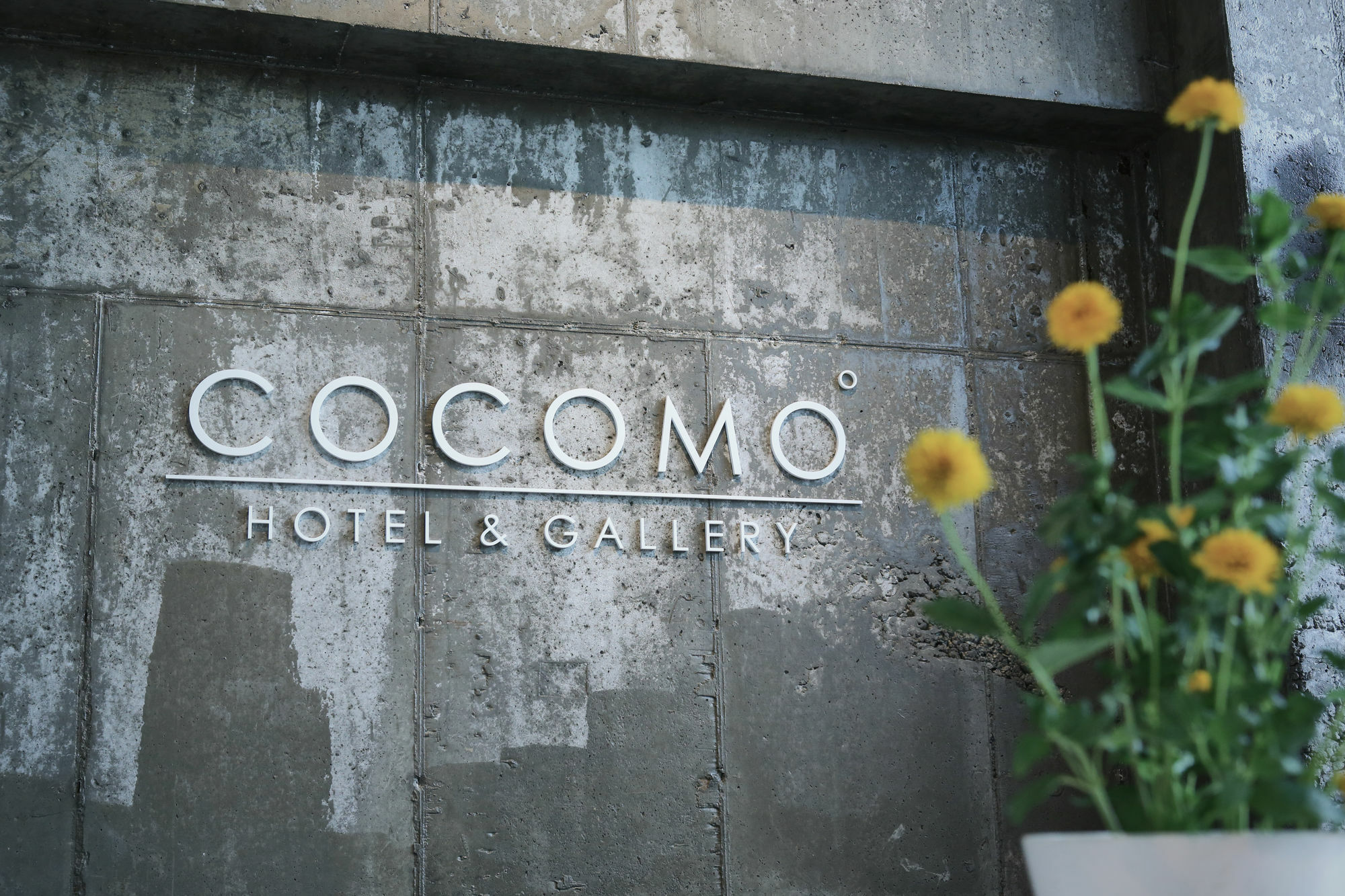 酒店 Cocomo 首尔
